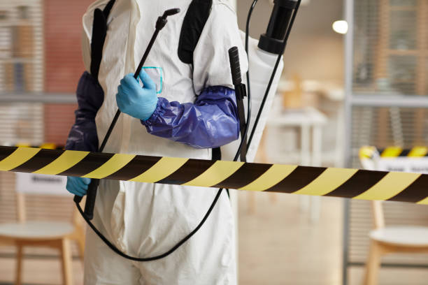 Professional Sewage Cleanup technician working in Hillsborough, NJ